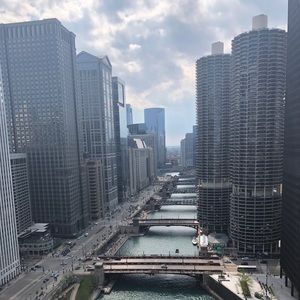 Meet your Posher, Archie